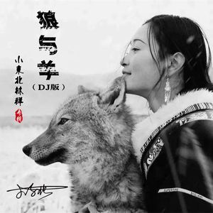 狼与羊（DJ版） 伴奏