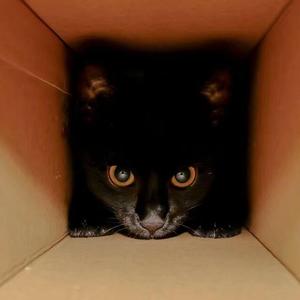 张壹ZHANG-心碎缝补中心（The_oneee remix）