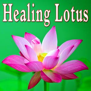 Whispers in the Wind