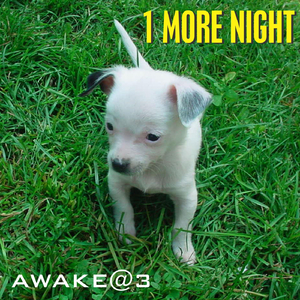 1 More Night