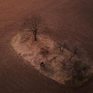 Spring in the Arctic