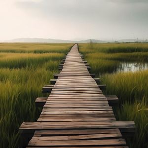 Peaceful Path