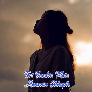 Tujhse Hi Thi Duniya Meri