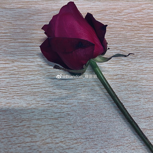 「叙事 向」808 free beat