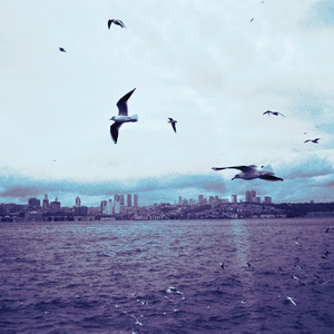 Migration