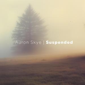 Suspended