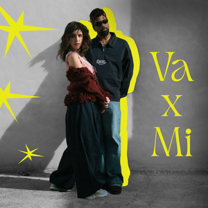 VA X MI