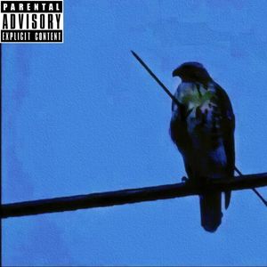 笼中鸟 prod.by obito