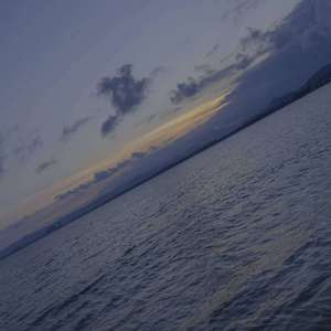 晚风到这儿都停着不走了.