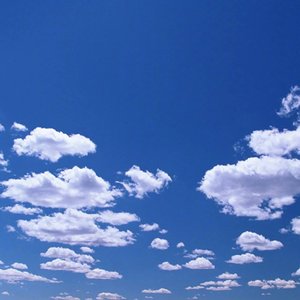 别祝我前程似锦 我只要别输掉这半生