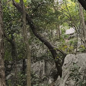 致磊哥.mp3