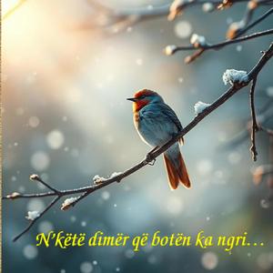 N'këtë dimër që botën ka ngri