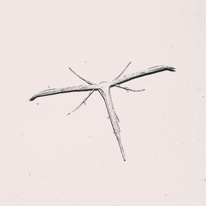 Поколения поклонения