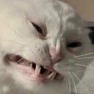 Drugs aint go heal us