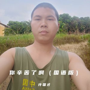 你辛苦了啊(国语版)