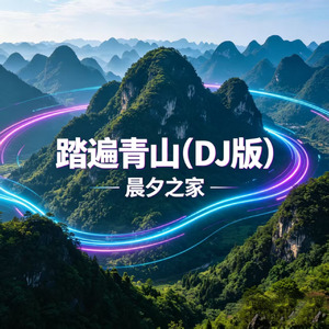 踏遍青山(DJ版)