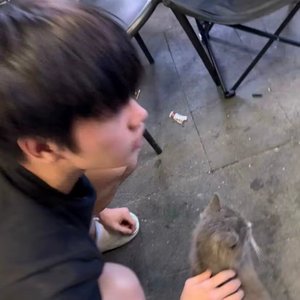 悲天悯人