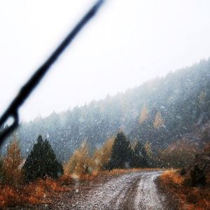 风雨飘落