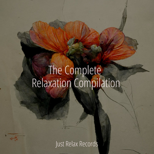 Calm Tempest Harmony