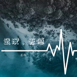 武汉，无憾 （Prod.by 毒猫毒猫）
