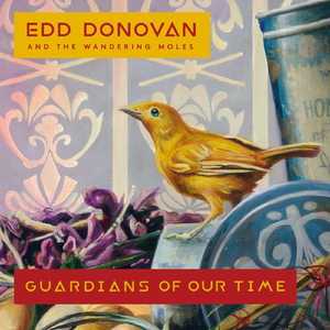 Bowerbird (Where the Light Gets In)