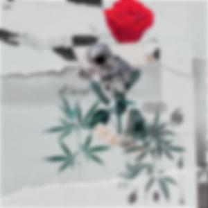 Mayo Interlude (feat. Marc Shyst)