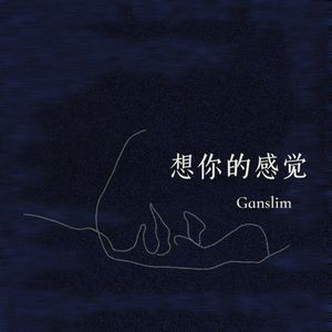 想你的感觉