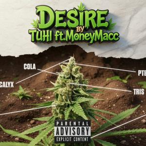 Desire (feat. MoneyMacc)