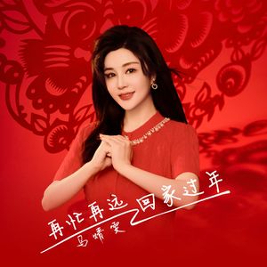 再忙再远回家过年（伴奏）