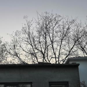 Vitamin（prod by Xiangyue）