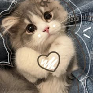 I'm Walking Behind You (sped up)