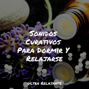 Hamaca En Los Árboles