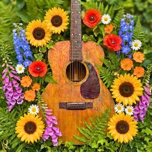 A Writer's Solitude (Music for Writing)