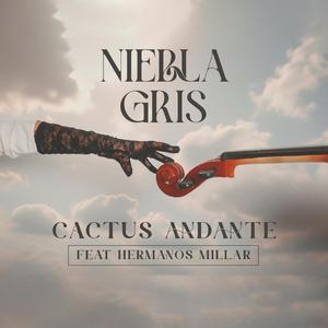 Niebla Gris (feat. Hermanos Millar)