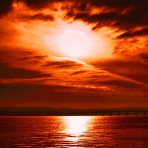 夏日已逝 Long Summer Gone?