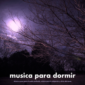 Dormir - Música suave