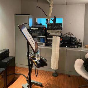 等你的季节（原唱 刘诗诗）