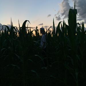 ISOLATED