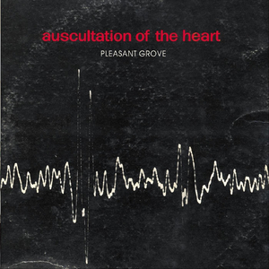 I Couldn't Withstand the Damage of an Evil and Wicked Divorce