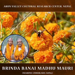 Brinda Banai Madhu Mauri (Maruni Chhokada Song)