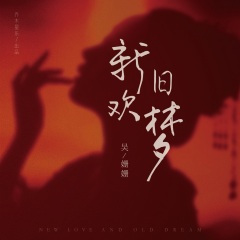新欢旧梦 (DJ沈念版)