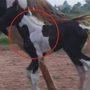 Blow A Million Racks (sped up)