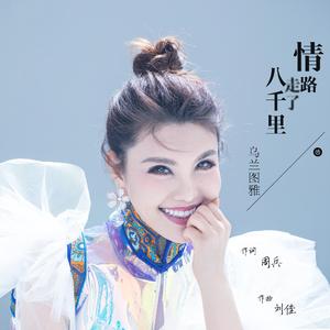 情路走了八千里