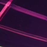 爱迷失在夜里