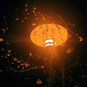 Why Would I Ever (remix)