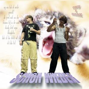 schon wieder (sped up) (feat. y.cavy)