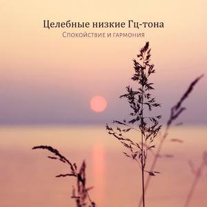 203 Гц – Глубокий и непрерывный сон