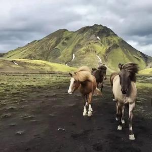 中东战歌进行曲