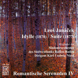 Idyla, JW VI/3: I. Andante