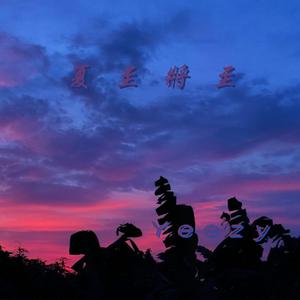 夏至将至
